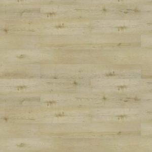Korner Solid Ceres