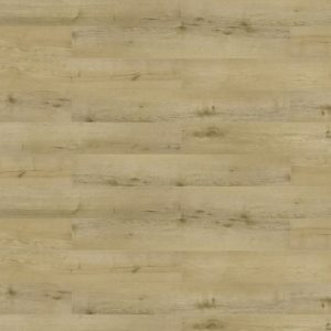 Korner Solid Deimos